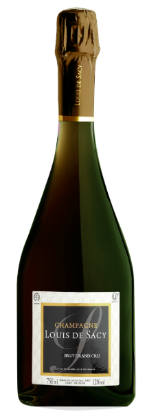 Brut Kasher Mevuchal