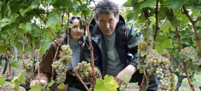 DOMAINE BEATRICE & PASCAL LAMBERT